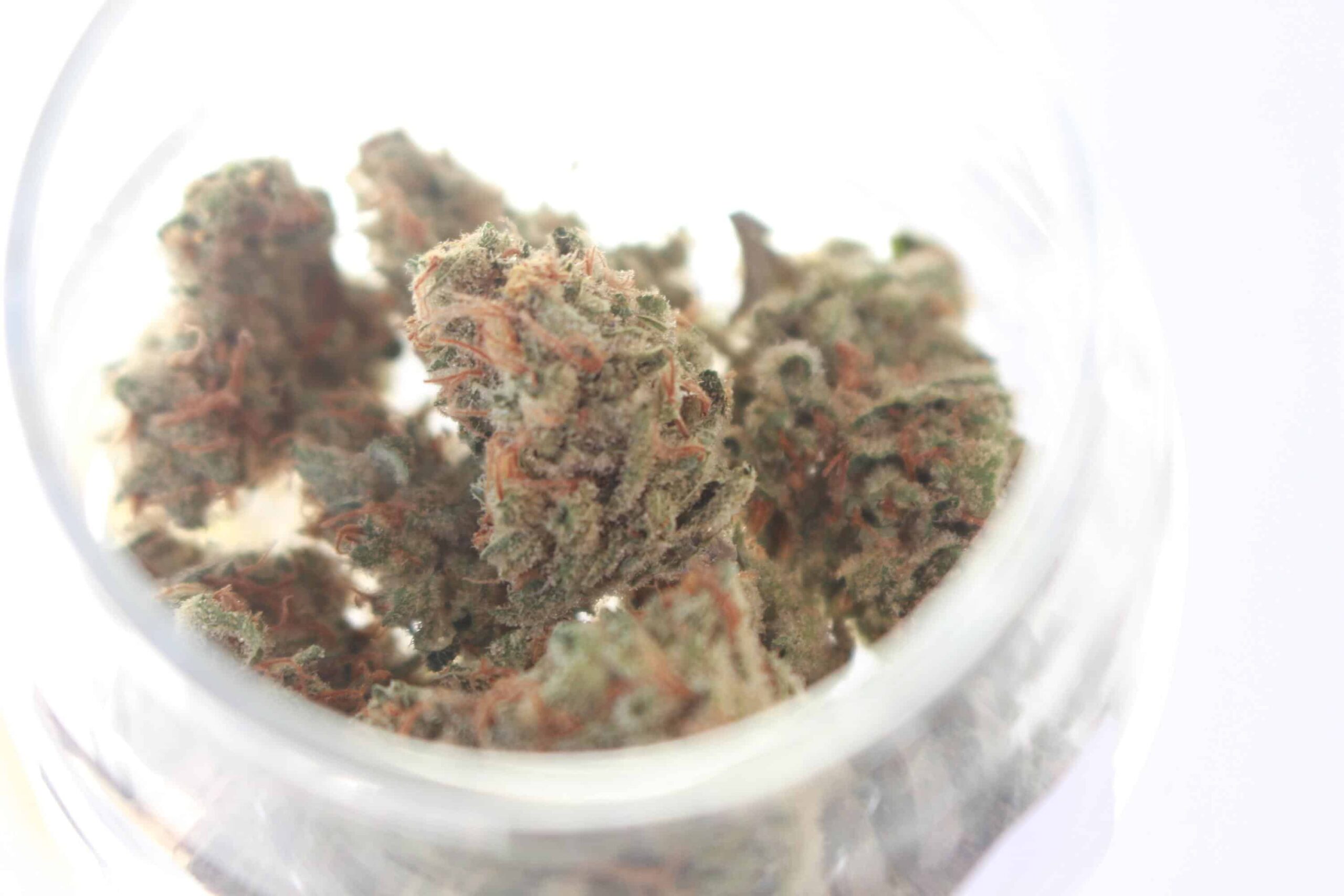 bud-cannabis-in-a-medical-container