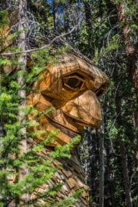 Breckenridge troll in the forest.