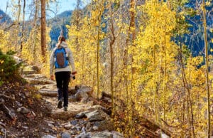Woman tourist walking on trail in aspen grove at autumn in Rocky Mountain National Park. Colorado, USA.
