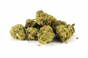 Marijuana