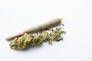 Marijuana flower and rolled joint isolated on white background.