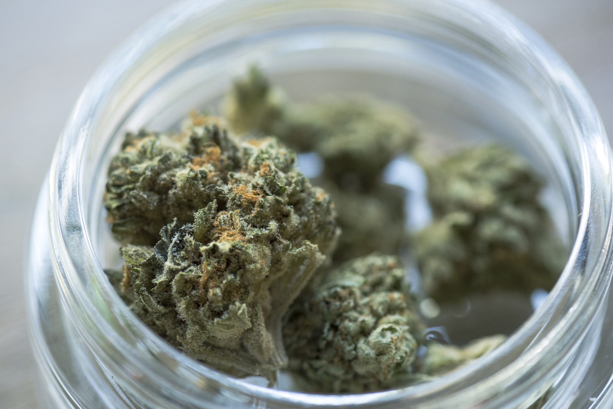 Macro image of marijuana flower in small mason jar. Legally bought weed from Colorado